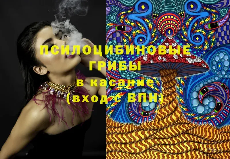 это наркотические препараты  наркошоп  Качканар  Псилоцибиновые грибы Cubensis 